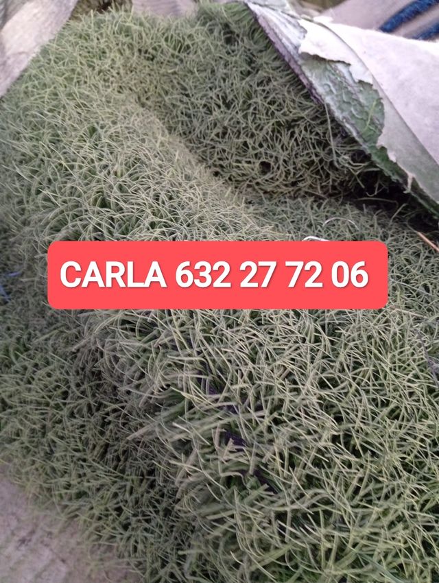 Venta césped artificial