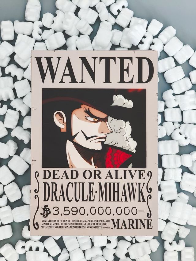 Quadretti Forex One Piece 20x30