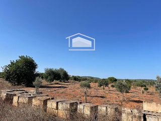 Terreno en venta en Campos