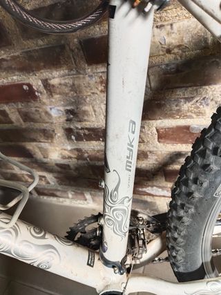 Bicicleta de Montaña Specialized