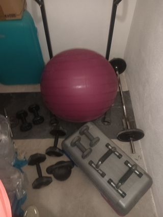 Pesas y barra de dominadas