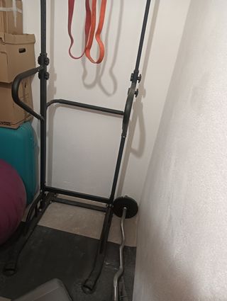 Pesas y barra de dominadas