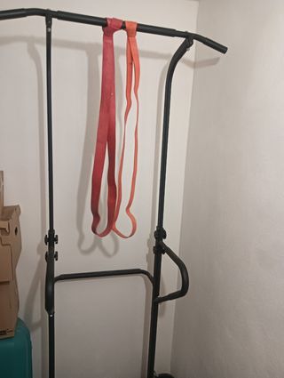 Pesas y barra de dominadas