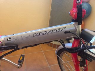 Bicicleta eléctrica 