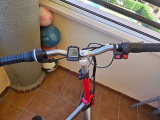 Bicicleta eléctrica 