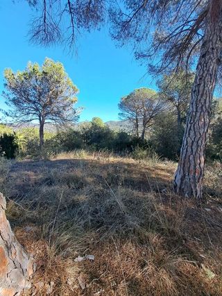 Terreno en venta en Vacarisses