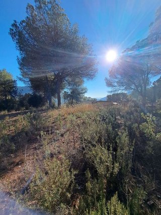 Terreno en venta en Vacarisses
