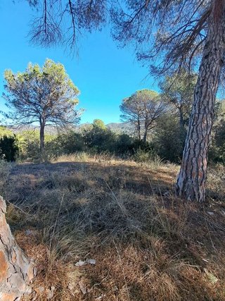 Terreno en venta en Vacarisses