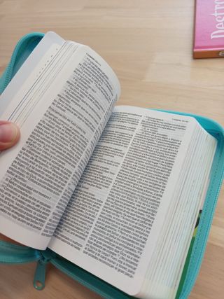 Mi Biblia. Ilustrada infantil: [bolsillo - simi...