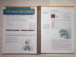 Llengua Catalana i Literatura 2