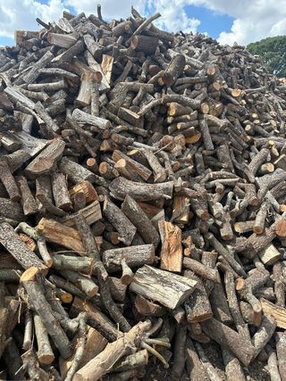 Leña de Encina