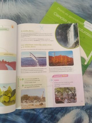 CIENCIAS DE LA NATURALEZA MADRID 3 PRIMARIA CON...