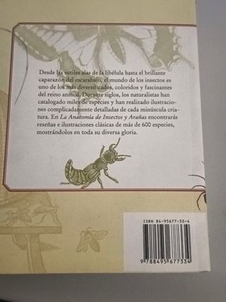 La anatomía de insectos y arañas