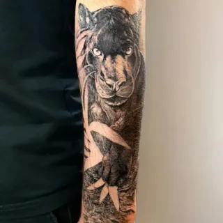 Tatuador / tatuaje / tattoo