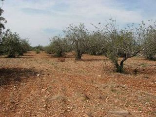 Terreno en venta en Casco Urbano en Vinaròs