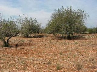 Terreno en venta en Casco Urbano en Vinaròs