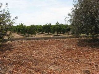 Terreno en venta en Casco Urbano en Vinaròs