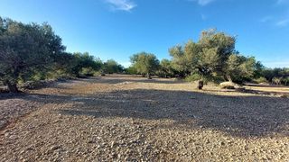 Casa rural en venta en Roques Daurades-L'Estany en Ametlla de Mar, l´