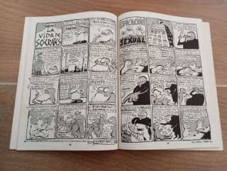 Lote 2 cómics Álvarez Rabo
