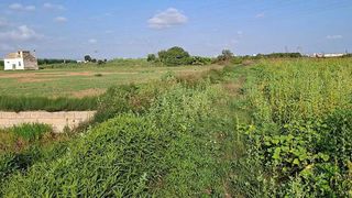 Terreno en venta en Silla