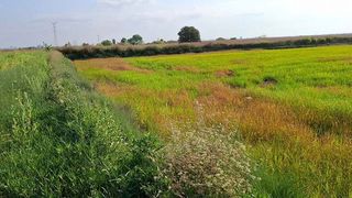 Terreno en venta en Silla