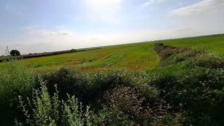 Terreno en venta en Silla