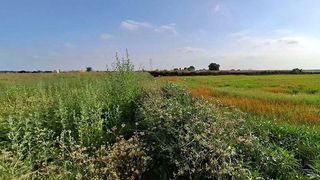 Terreno en venta en Silla