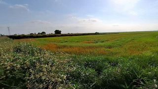 Terreno en venta en Silla
