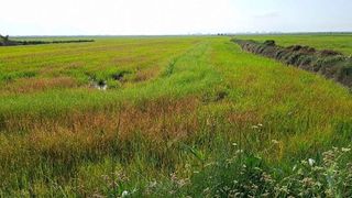 Terreno en venta en Silla