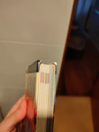 Guía japon dk en inglés