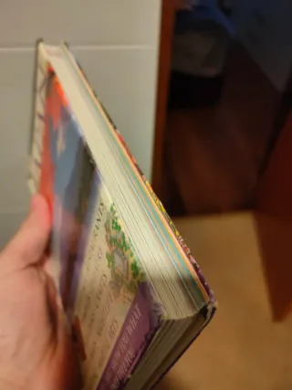 Guía japon dk en inglés