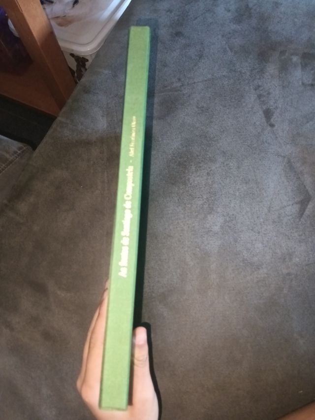 As fontes de Santiago de Compostela