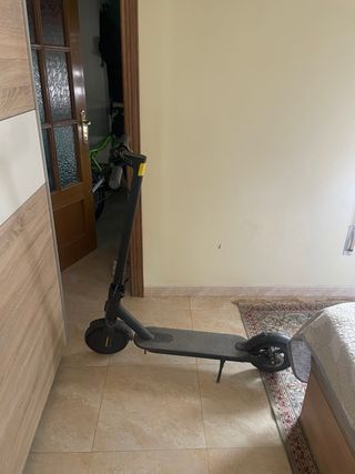 Patinete Eléctrico Xiaomi Pro 2