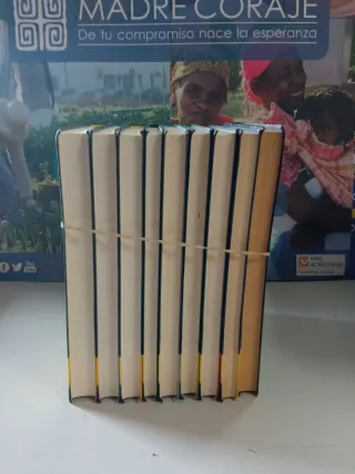 Vanesa, la intrépida: Las Fieras del Fútbol Club 3