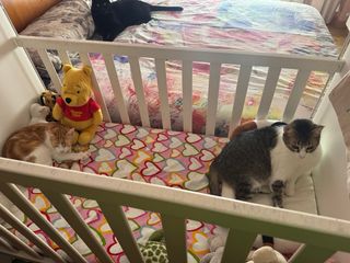 Cuna de bebé blanca con ruedas