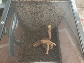 Terrario/Jaula Camaleones/Reptiles Negro