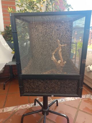 Terrario/Jaula Camaleones/Reptiles Negro