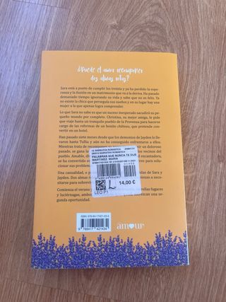 Palabras que nunca te dije (Spanish Edition)