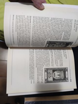 Predicción Cartas Sibila