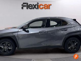 Lexus UX 2.0 250h Business