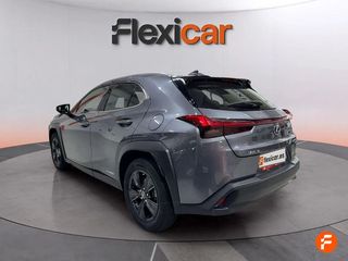 Lexus UX 2.0 250h Business