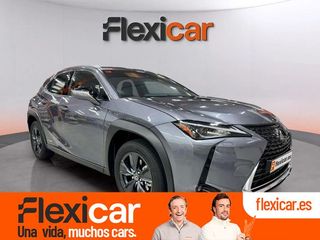 Lexus UX 2.0 250h Business