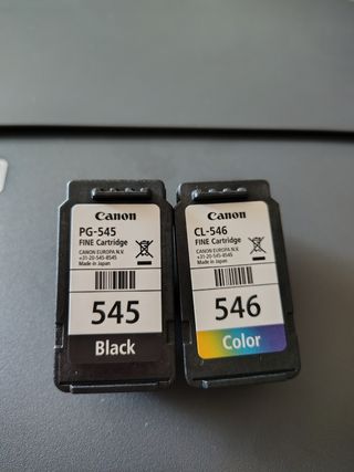 Impresora Canon MG2550S Gris