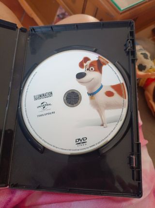 Mascotas DVD Película Animada Español