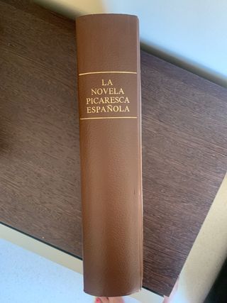 La novela picaresca española