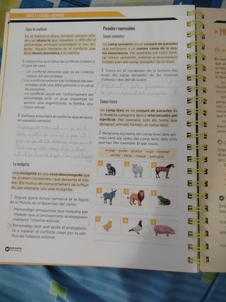 Llengua Catalana 2 ESO dossier