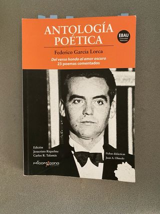 Antologia poetica - Federico Garcia Lorca (ebau...
