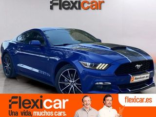 Ford Mustang 2.3 EcoBoost 231kW Mustang Aut. (Fastb.)