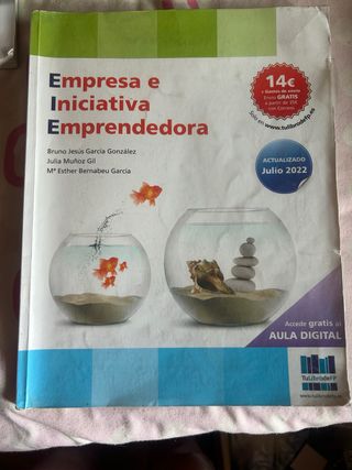 Libro Empresa e Iniciativa Emprendedora 