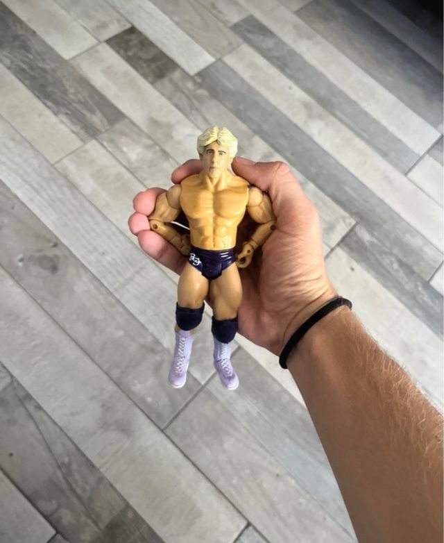 Action Figure Chris rich flair WWE Vintage